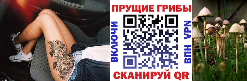 Купить где  Мензелинск  Галлюциногенные грибы мухоморы 